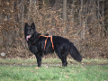 H_Filou01