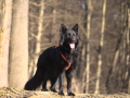 H_Filou08