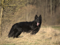 H_Filou09