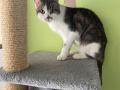 Chico_04