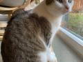 Clarence_11