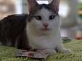 Clarence_13