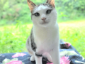 Clarence_17
