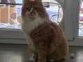Mascha_05