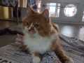 Mascha_06