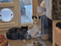 Mimi-und-Nalani_01