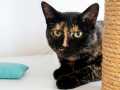 Mimi_02