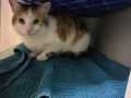 Minou_01