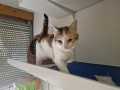 Minou_03