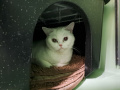 Prinzessin_02