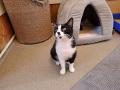 Wanda_03