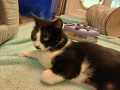 Wanda_04