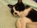 Wanda_05