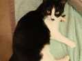 Wanda_06