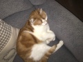 Pascha_03